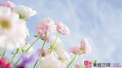 花-日语学习-苏州日语培训