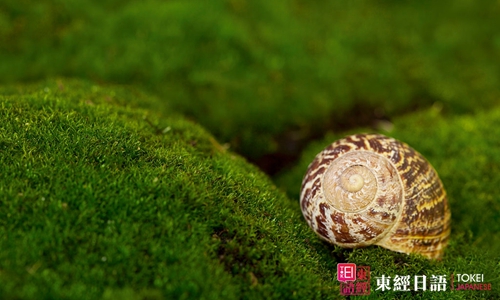 蜗牛的壳-日语学习-苏州日语培训