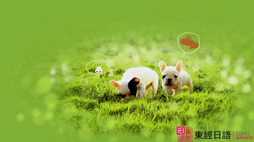 日语学习-苏州日语培训-日语零基础
