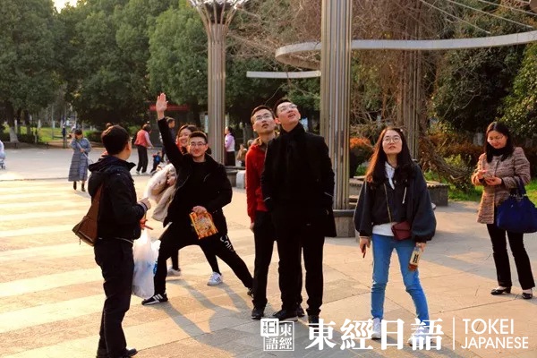 东经日语玉山公园赏樱活动-外教为学员讲解