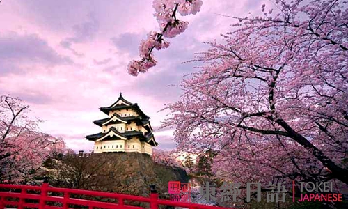 日本樱花祭