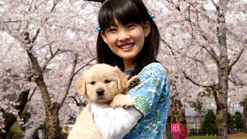 私を信じてください-苏州日语培训-苏州日语