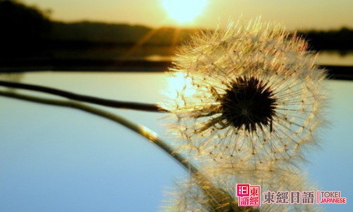 日语初级句型-日语培训班-苏州东经日语