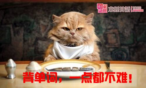 日语单词背诵技巧-日语词汇