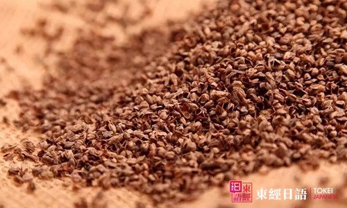 荞麦-苏州日语