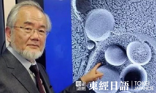 日本诺贝尔奖获得者大隅良典