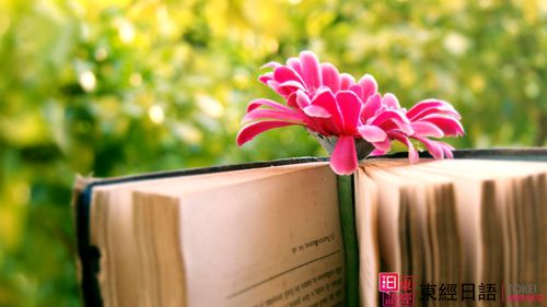 苏州日语-日语学习-苏州新区日语培训