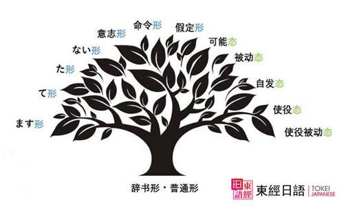 日语动词变形分类-苏州日语-苏州日语学习