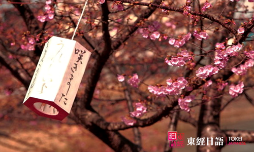 如何申请日本语言学校-日语培训学校-苏州日语