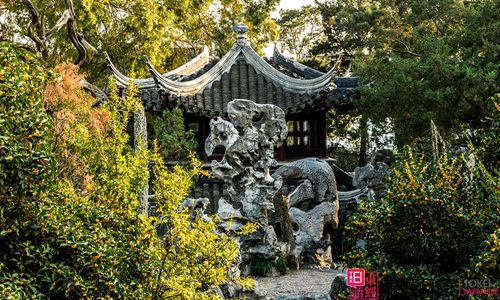 狮子林-苏州园林-苏州日语