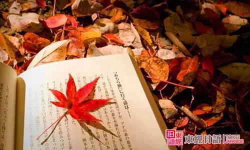 日本的秋天-日语秋季词汇-苏州日语培训